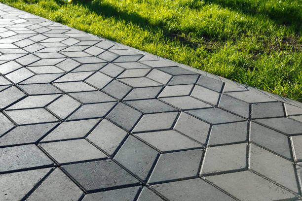 Best Interlocking Driveway Pavers  in Bloomfield, NM